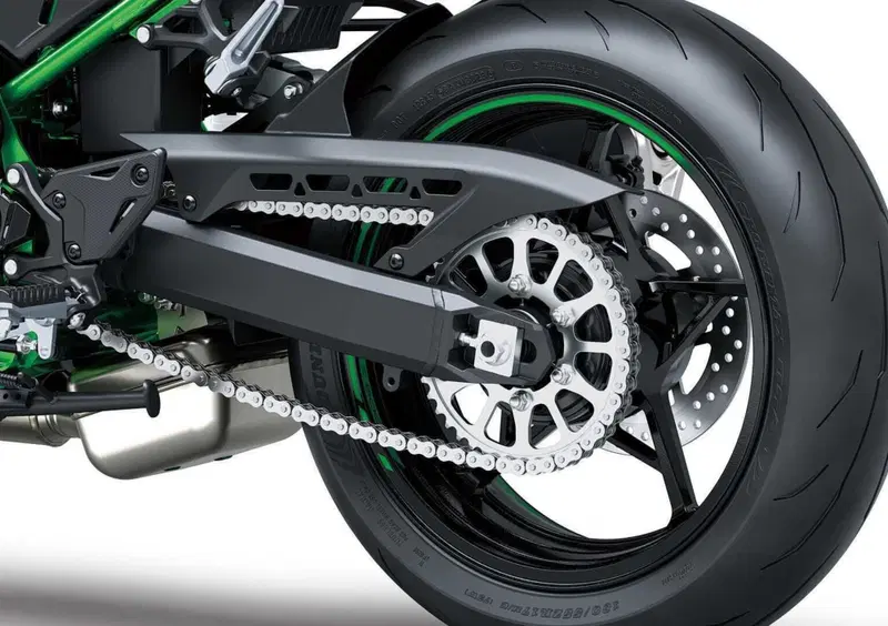 Kawasaki Z 900 Z 900 (2025 - 26) (15)