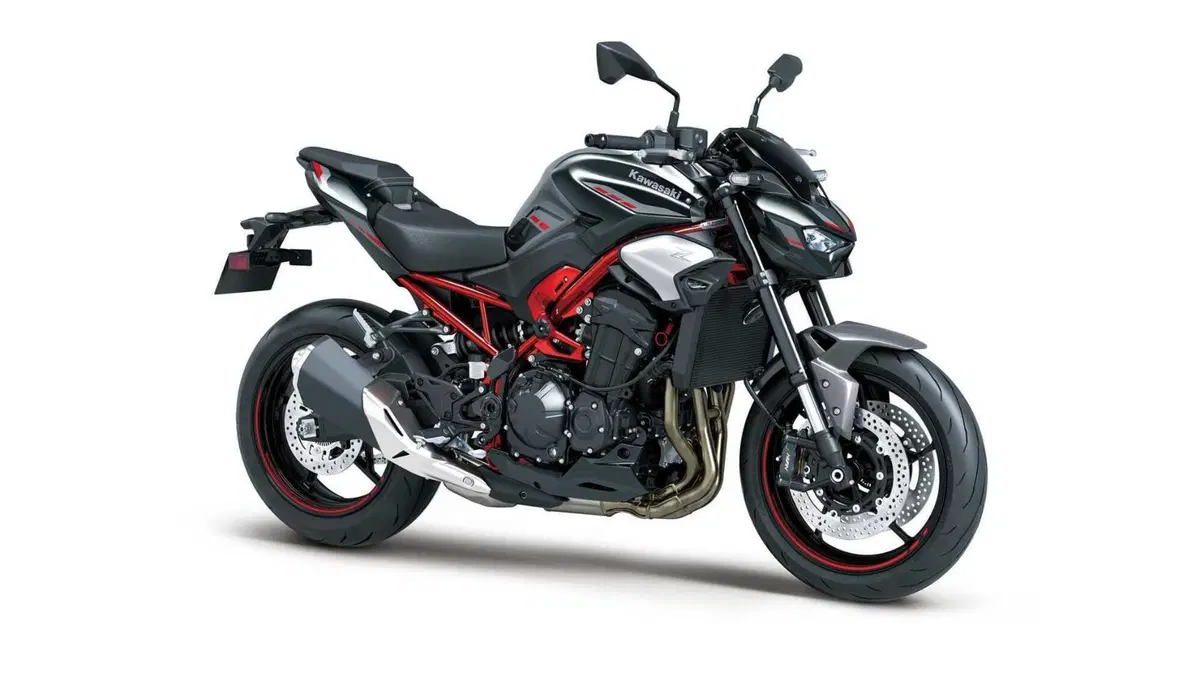 Kawasaki Z 900 Z 900 A2 (2025 - 26) (8)