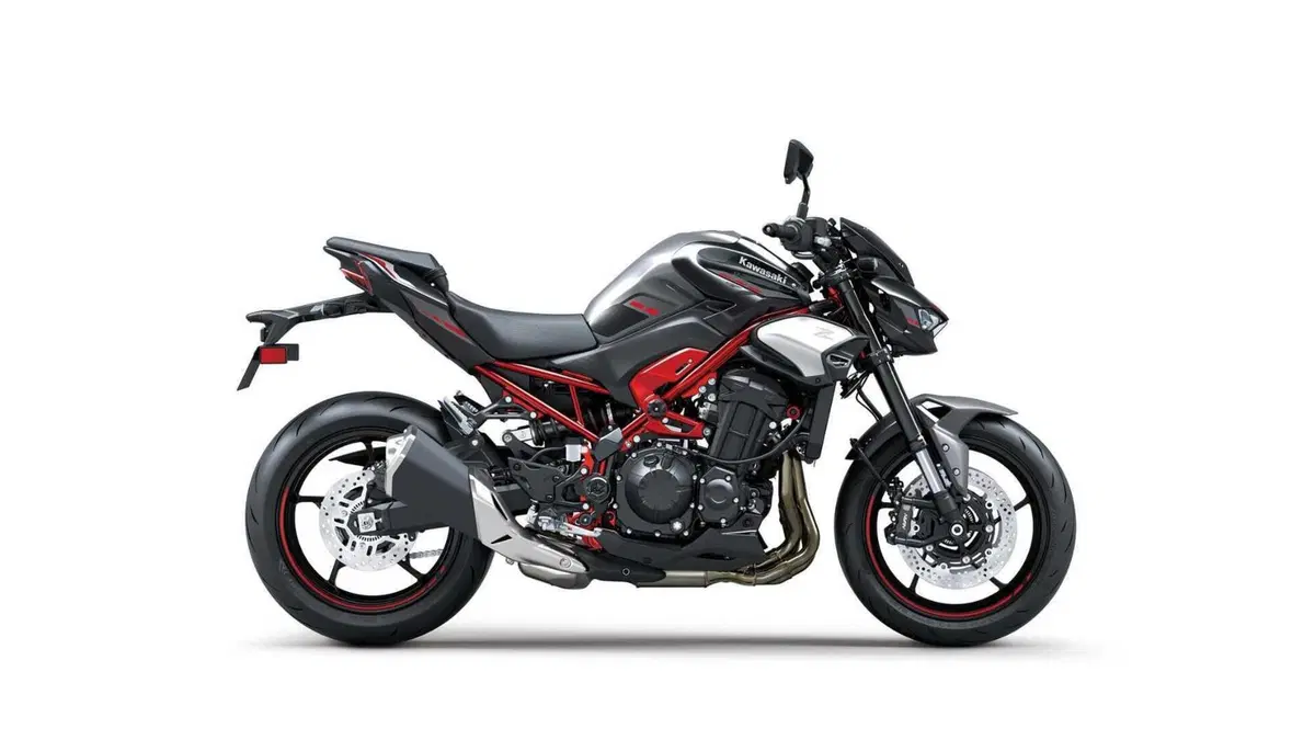 Kawasaki Z 900 Z 900 A2 (2025 - 26) (9)