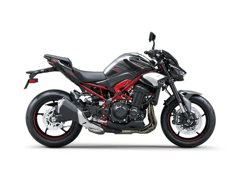 Kawasaki Z 900 Z 900 A2 (2025 - 26) (9)
