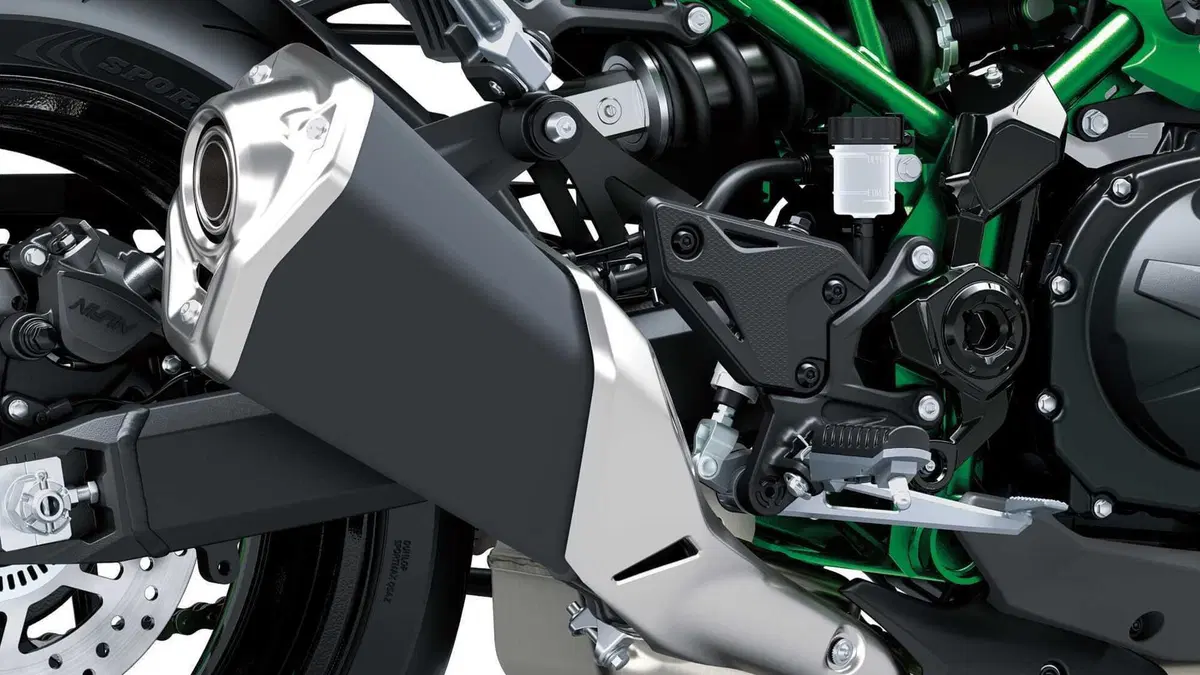Kawasaki Z 900 Z 900 A2 (2025 - 26) (12)