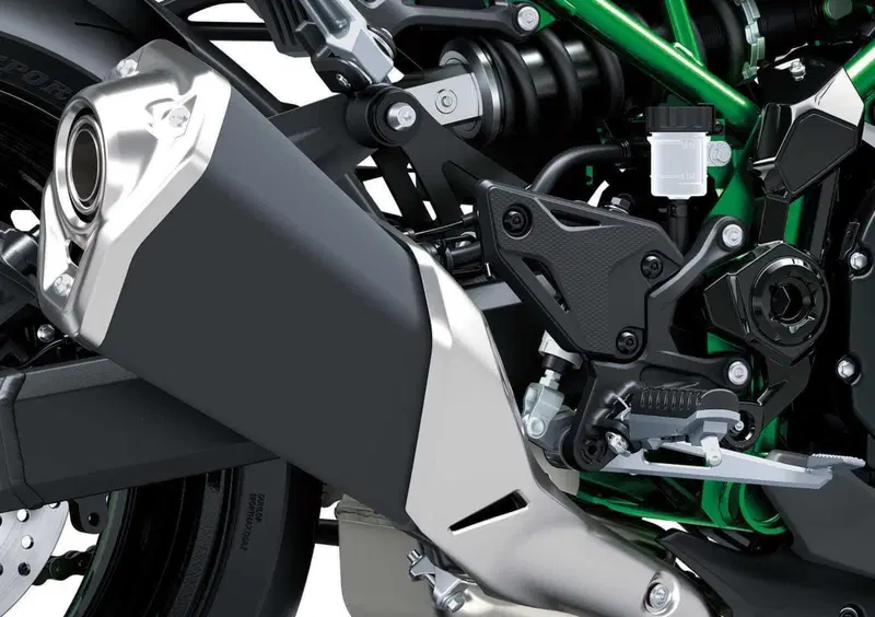 Kawasaki Z 900 Z 900 A2 (2025 - 26) (12)