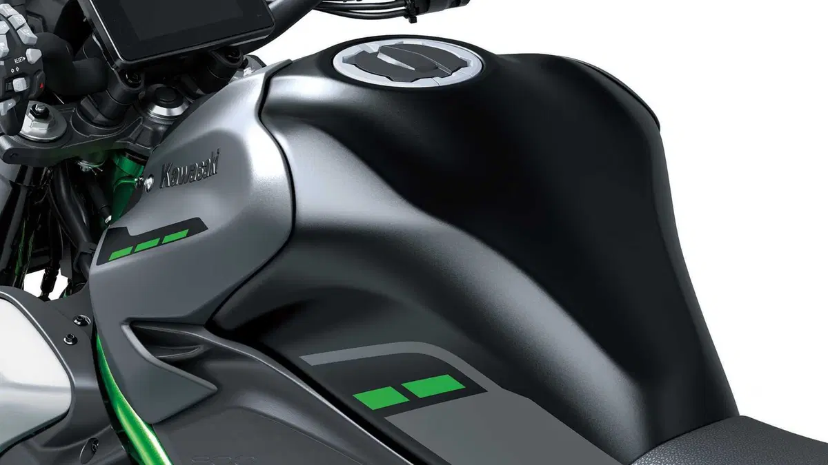 Kawasaki Z 900 Z 900 A2 (2025 - 26) (13)