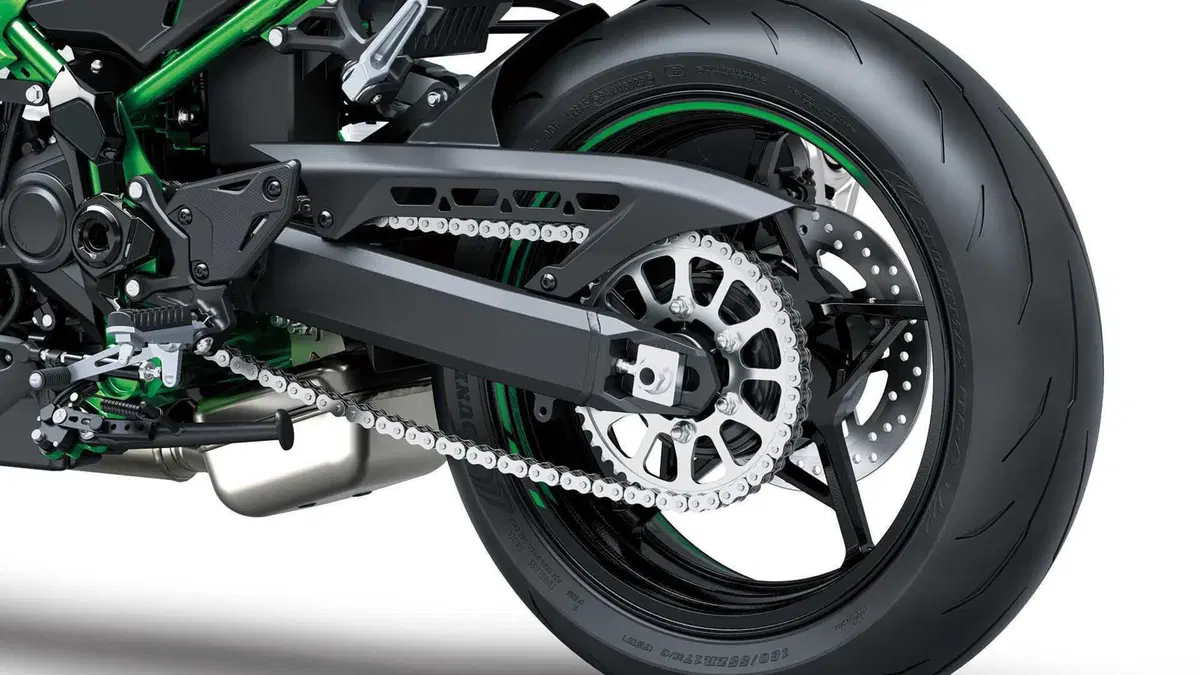 Kawasaki Z 900 Z 900 A2 (2025 - 26) (15)