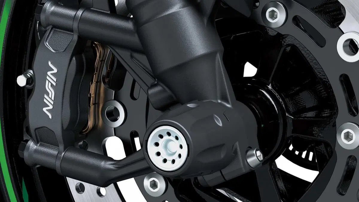 Kawasaki Z 900 Z 900 A2 (2025 - 26) (16)