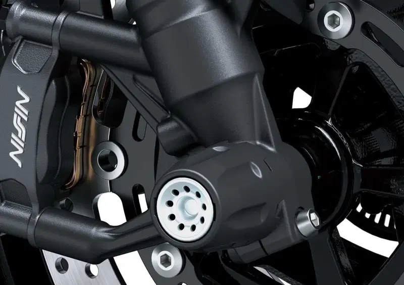 Kawasaki Z 900 Z 900 A2 (2025 - 26) (16)
