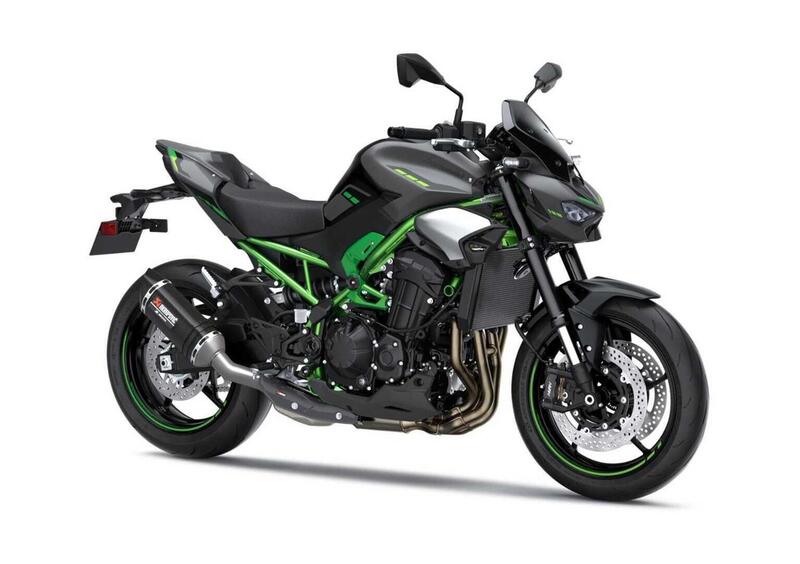 Kawasaki Z 900 Z 900 Performance (2025)