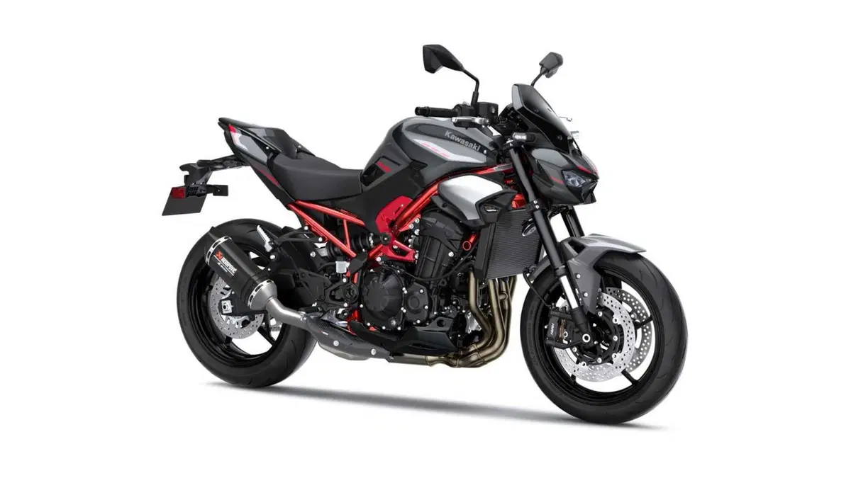 Kawasaki Z 900 Z 900 Performance (2025 - 26) (4)