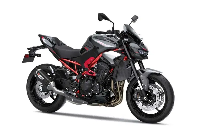Kawasaki Z 900 Z 900 Performance (2025 - 26) (4)
