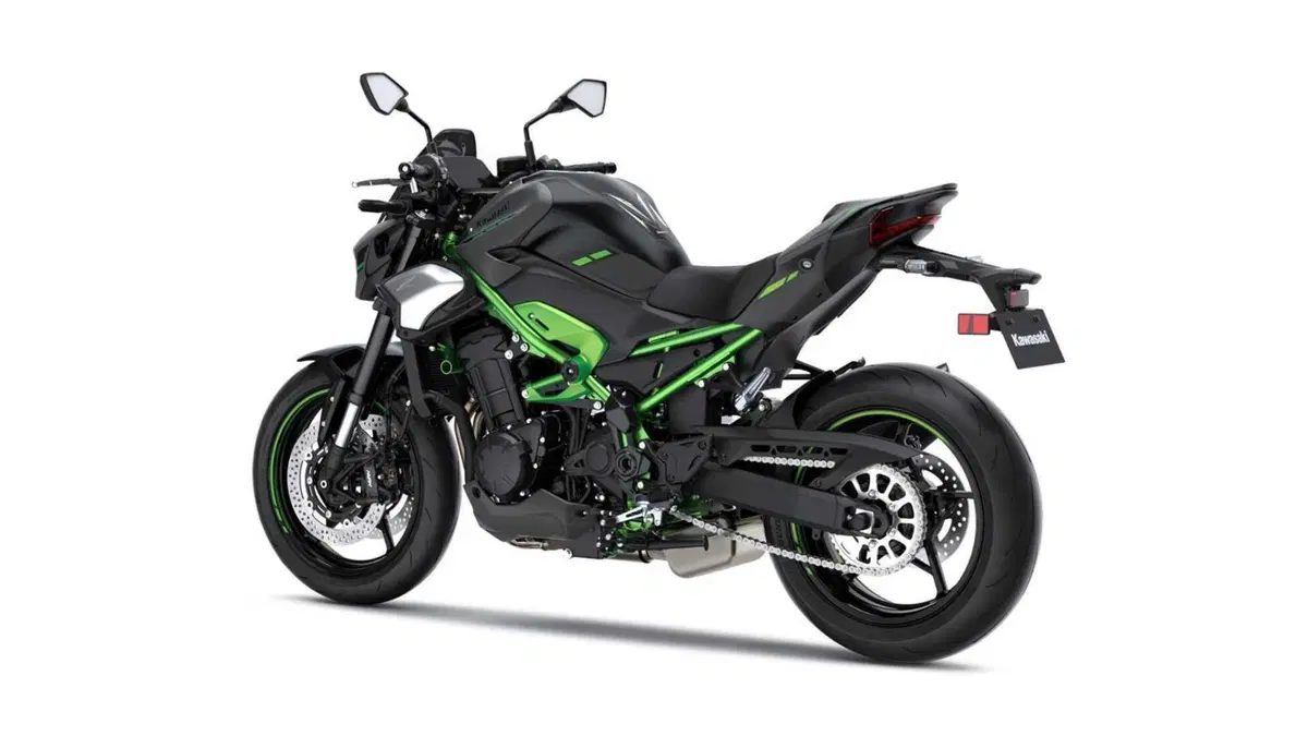 Kawasaki Z 900 Z 900 Performance (2025 - 26) (2)