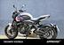 Triumph Trident 660 Triple Tribute Edition (2024 - 25) (10)