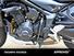 Triumph Trident 660 Triple Tribute Edition (2024 - 25) (11)