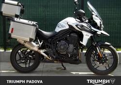 Triumph Tiger 1200 Alpine Edition (2020) usata