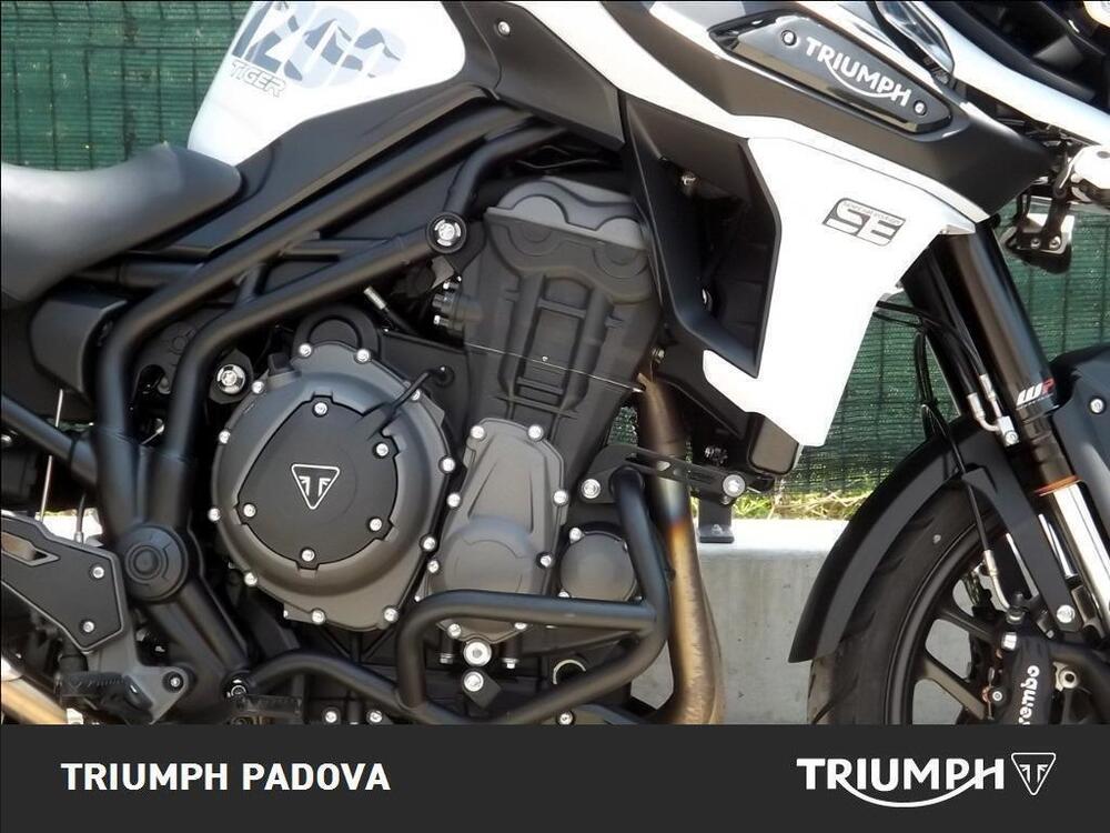 Triumph Tiger 1200 Alpine Edition (2020) (3)