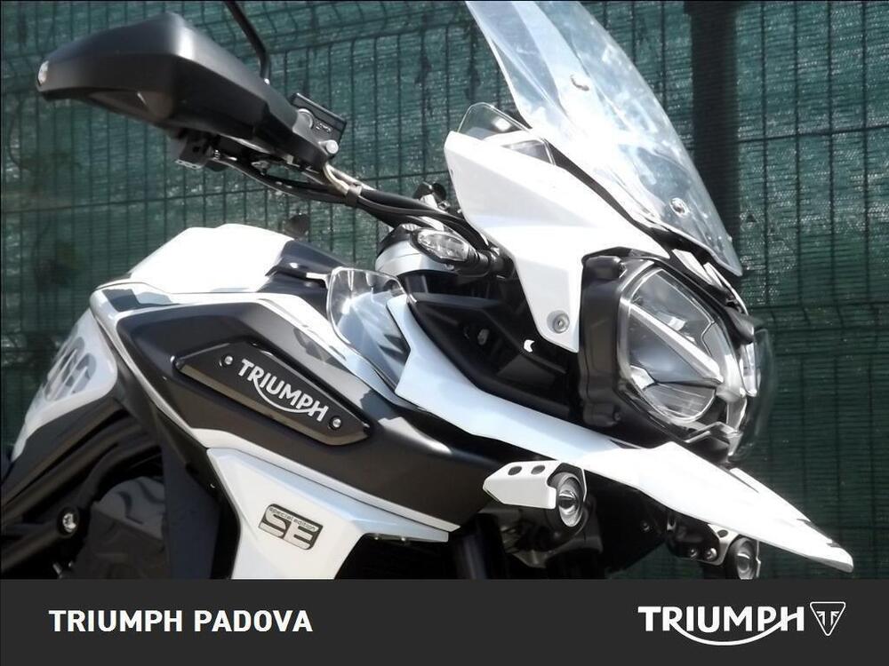 Triumph Tiger 1200 Alpine Edition (2020) (2)