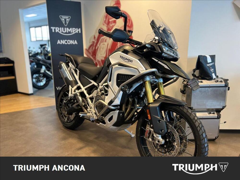 Triumph Tiger 1200 Rally Explorer (2024 - 25)