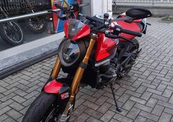 Ducati Monster 937 SP (2023 - 25) usata