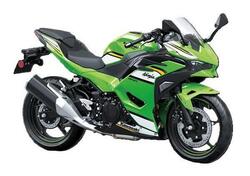 Kawasaki Ninja 500 SE (2024 - 25) nuova