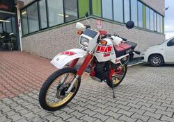 Yamaha XT 600 (1984 - 98) usata