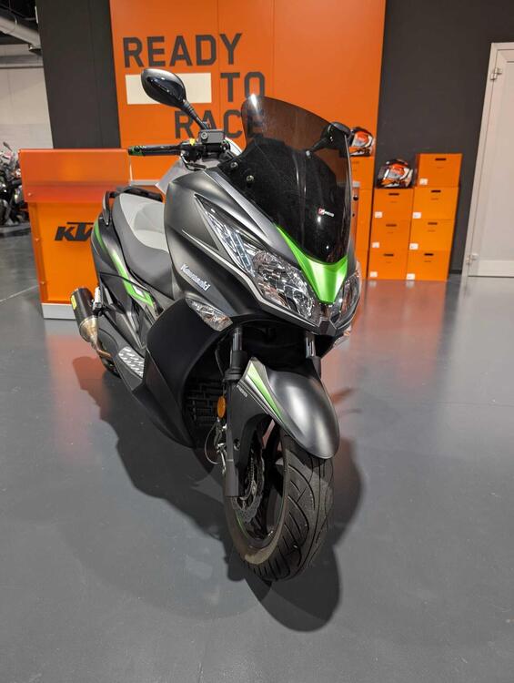 Kawasaki J 300 SE (2017 - 18) (2)