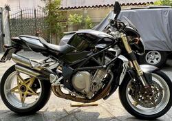 MV Agusta Brutale 910 S (2005 - 11) usata