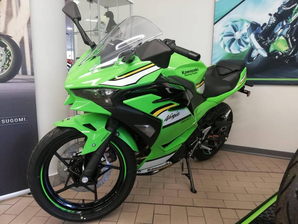 Kawasaki Ninja 500 SE (2024 - 25)