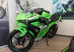 Kawasaki Ninja 500 SE (2024 - 25) usata