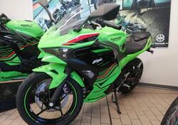 Kawasaki Ninja 500 SE (2024 - 25) usata