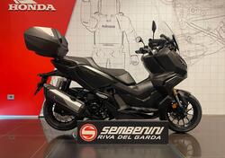 Honda ADV 350 (2022 - 24) nuova