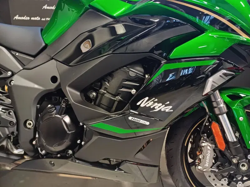 Kawasaki Ninja 1100 SX SE (2025 - 26) (7)
