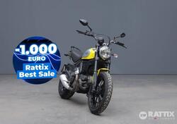 Ducati Scrambler 800 Icon (2017 - 20) usata