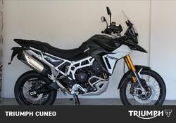 Triumph Tiger 900 Rally Pro (2024 - 25) usata