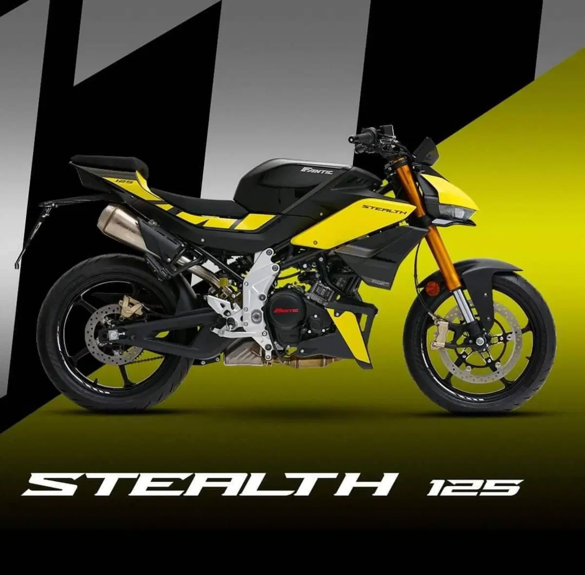 Fantic Motor Stealth 125 (2025 - 26) (4)