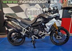 Triumph Tiger 900 Rally Pro (2020 - 23) usata