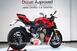 Ducati Streetfighter V4 1100 S (2021 - 22) (14)