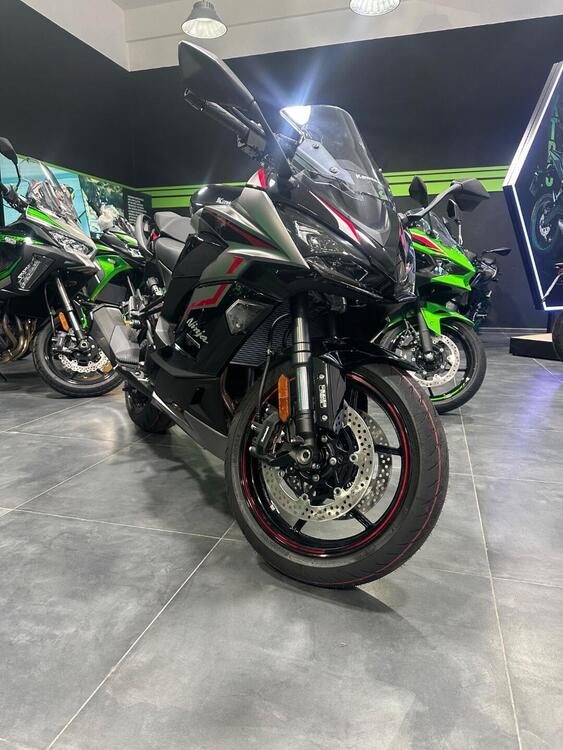 Kawasaki Ninja 1000 SX (2021 - 24)