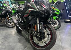 Kawasaki Ninja 1000 SX (2021 - 24) usata