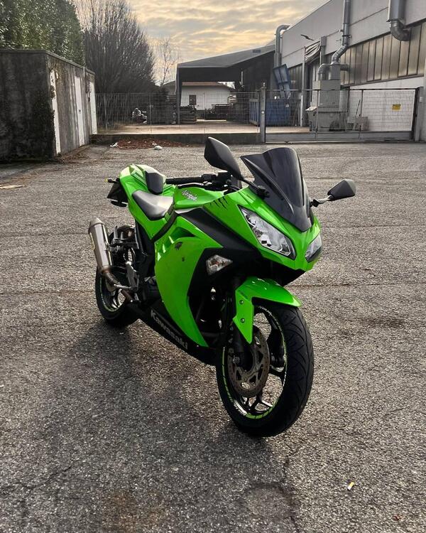 Kawasaki Ninja 300 ABS (2012 - 16)