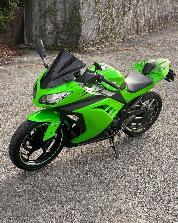 Kawasaki Ninja 300 ABS (2012 - 16) (3)