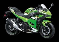 Kawasaki Ninja 500 SE (2024 - 25) nuova