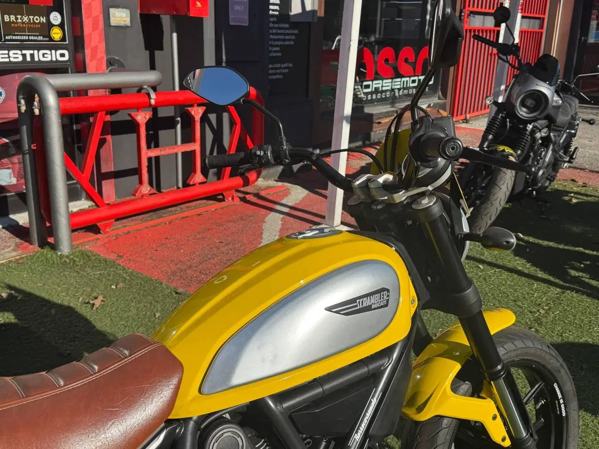 Ducati Scrambler 800 Icon (2015 - 16) (13)