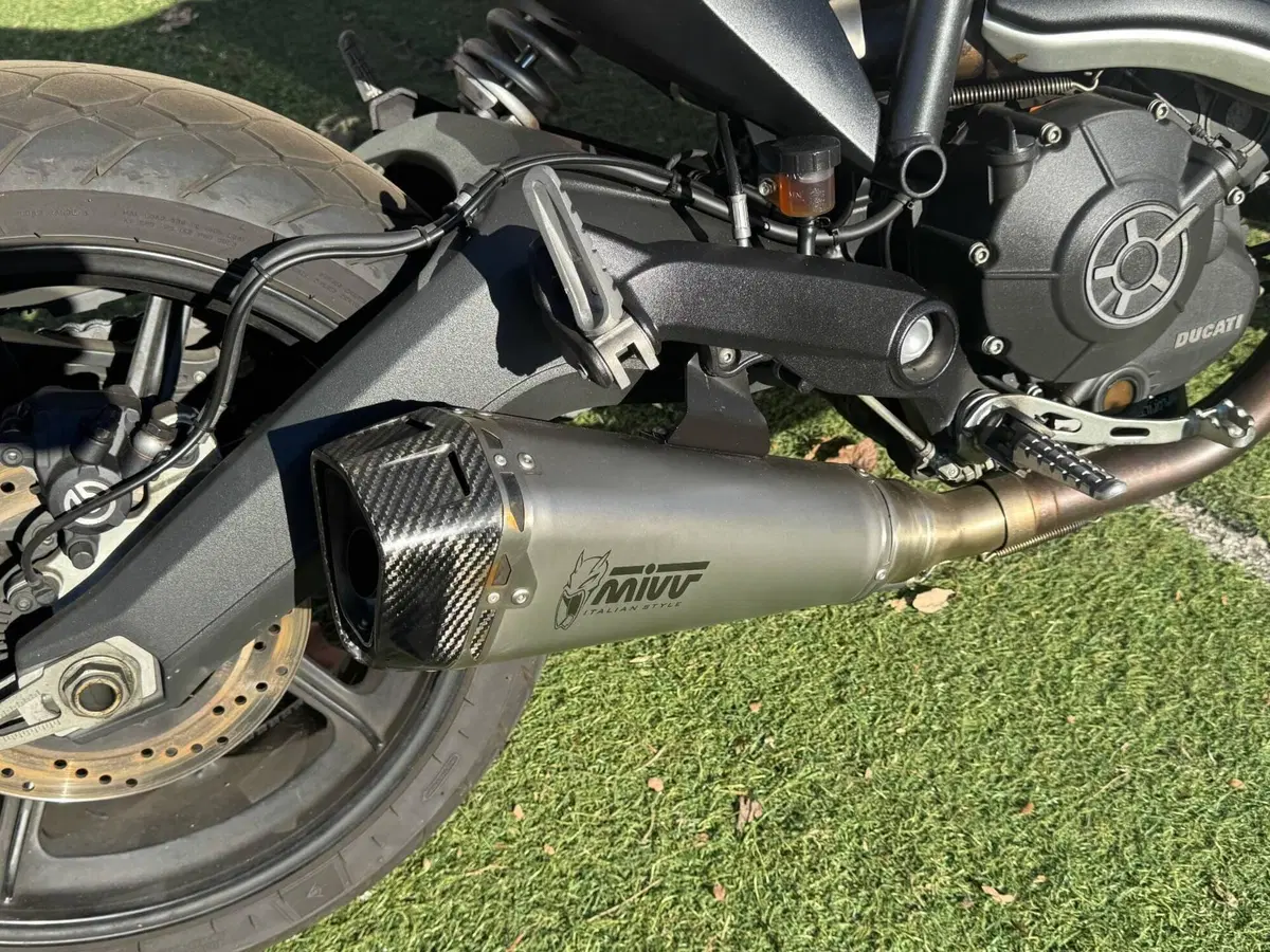 Ducati Scrambler 800 Icon (2015 - 16) (6)