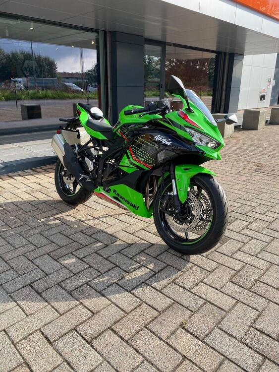 Kawasaki Ninja ZX-4RR (2024 - 25)