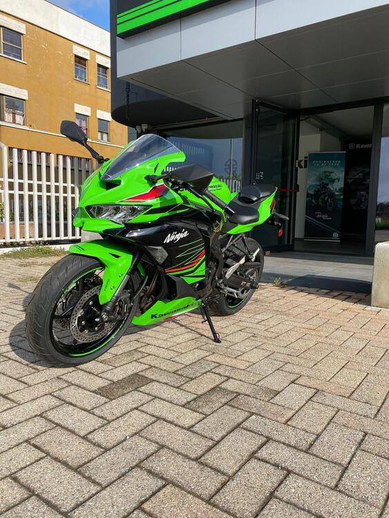 Kawasaki Ninja ZX-4RR (2024 - 25) (3)