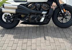 Harley-Davidson Sportster S (2022 - 25) usata