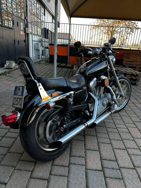 Harley-Davidson 883 Custom (2008 - 12) - XL 883C (2)