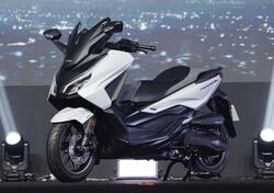 Honda Forza 350 (2022 - 24) nuova