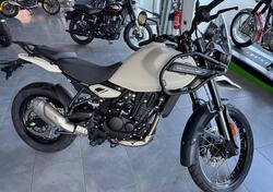 Royal Enfield Himalayan 450 (2024 - 25) nuova