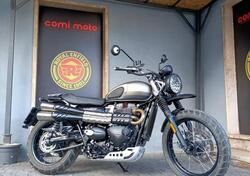 Triumph Street Scrambler 900 Sandstorm (2021 - 22) usata