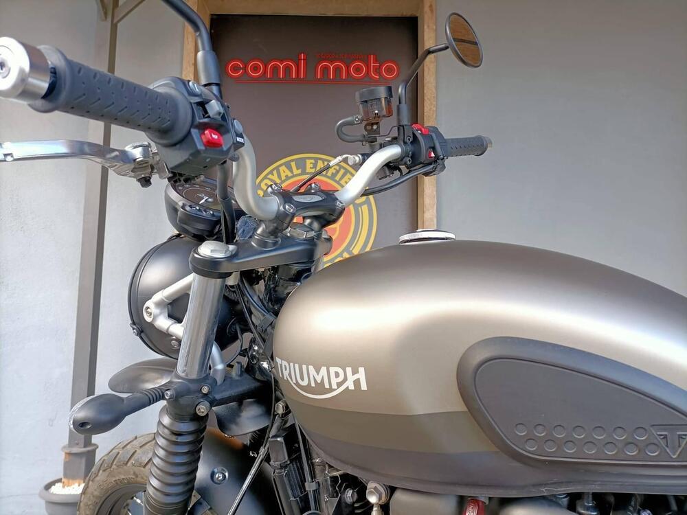 Triumph Street Scrambler 900 Sandstorm (2021 - 22) (4)